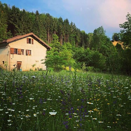 Cesiomaggiore Alla Casetta B&B المظهر الخارجي الصورة