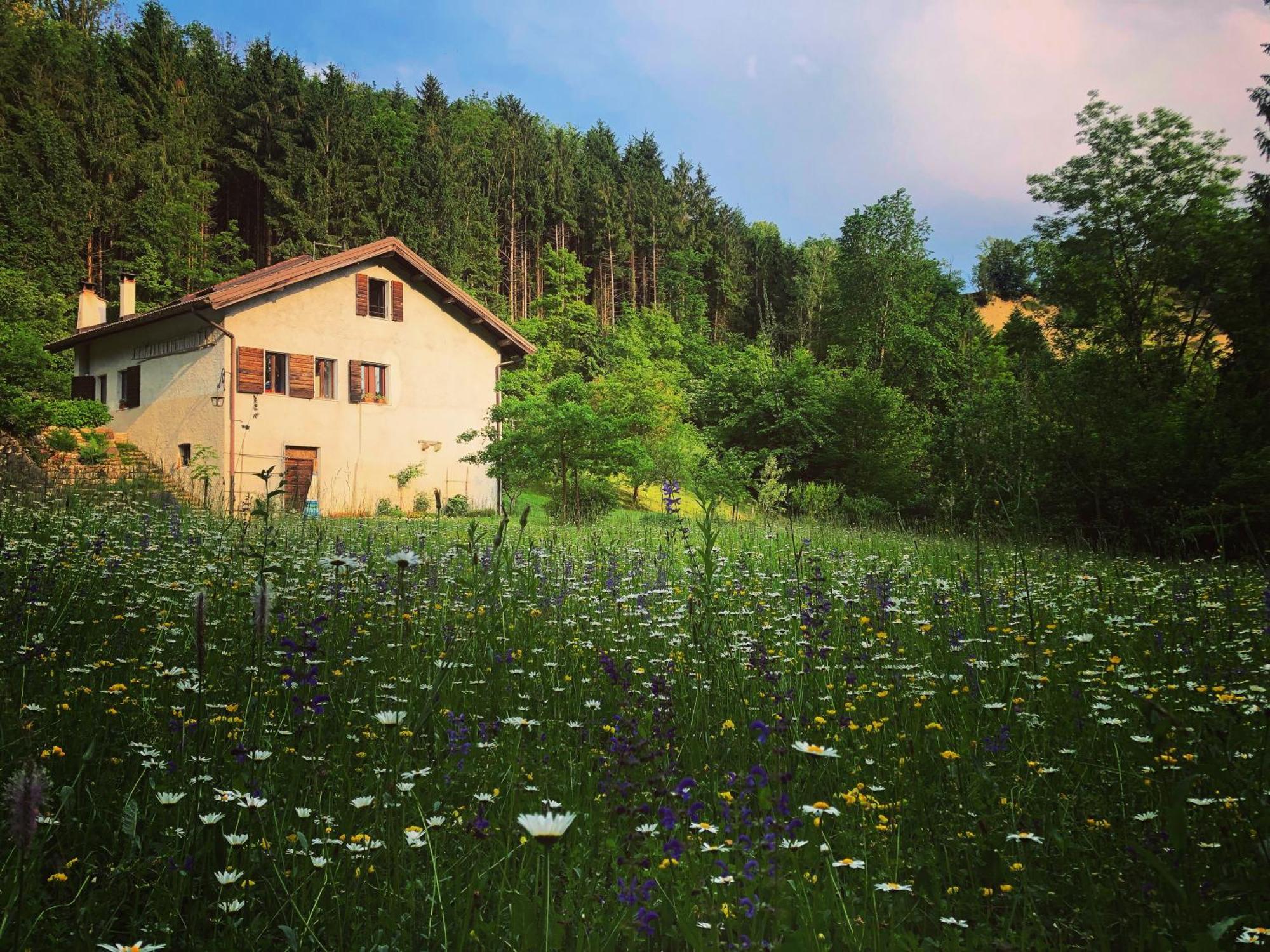 Cesiomaggiore Alla Casetta B&B المظهر الخارجي الصورة
